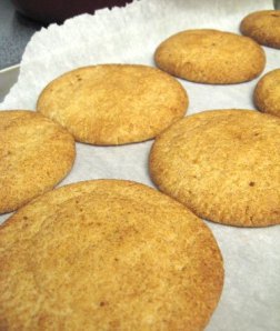 cookiesnickerdoodles